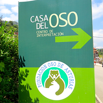 Casa del Oso